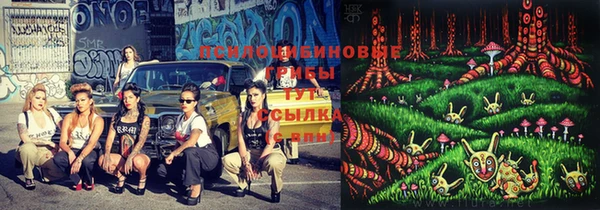 крисы Алексеевка