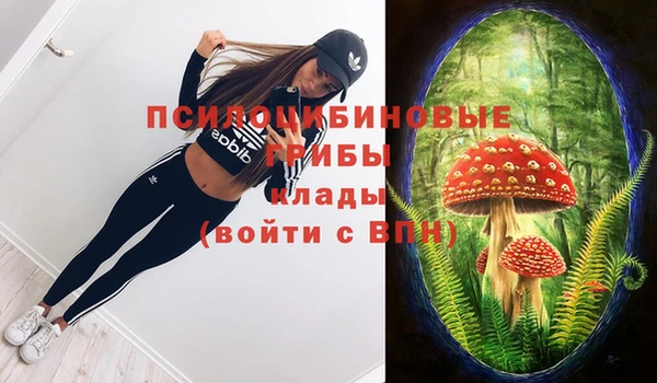 крисы Алексеевка