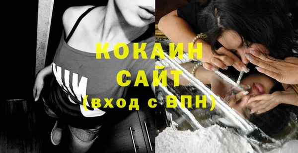 индика Осташков