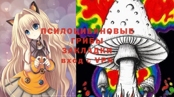 крисы Алексеевка