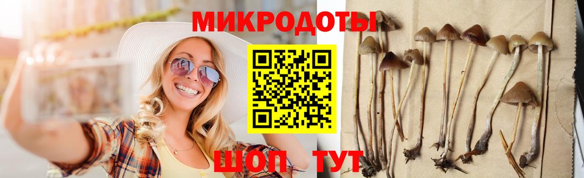 Псилоцибиновые грибы GOLDEN TEACHER Лесосибирск